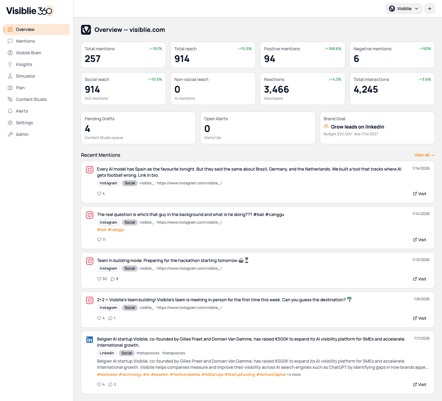 Real Overview dashboard for visiblie.com inside Visiblie 360